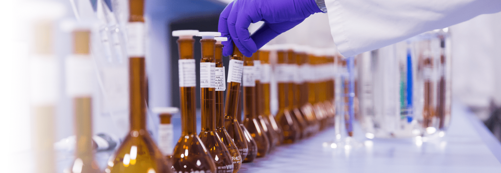 Reference Standard (RS) vs Working Standard (WS): Critical Differences Every Saudi Lab Must Know — Partner with OxyTech for Certified Standards